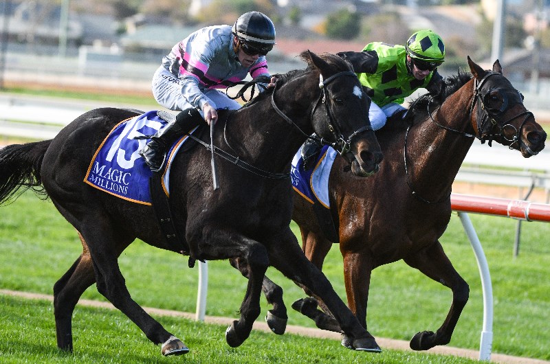 Sale Betting Tips