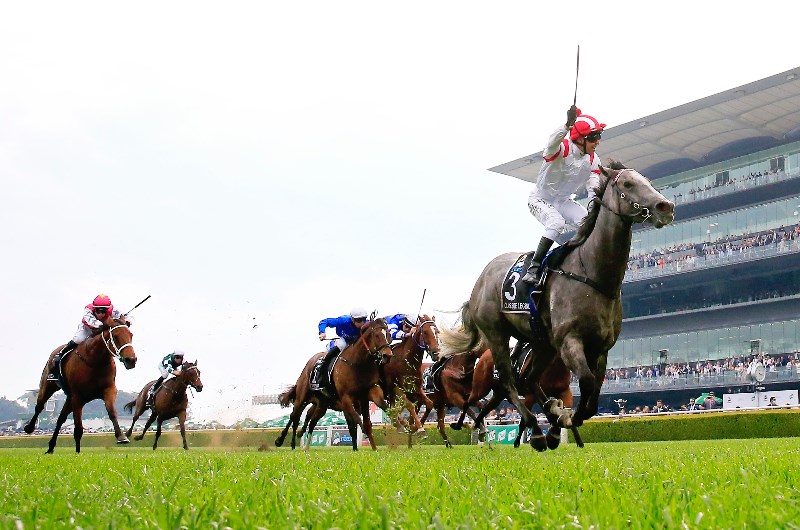 The Everest 2021 Betting Odds