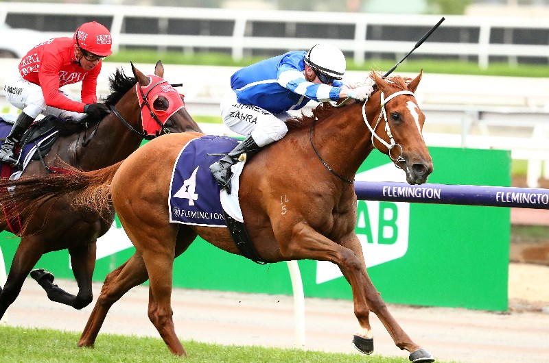 The Goodwood Barrier Draw & Final Field