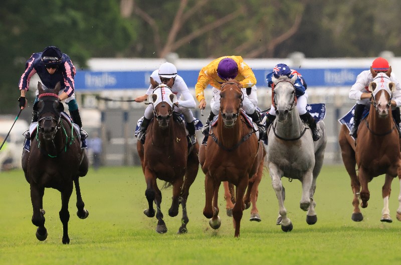 Warwick Farm Tips for 12.05.2021