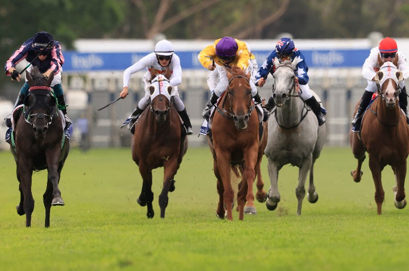 warwick farm racing
