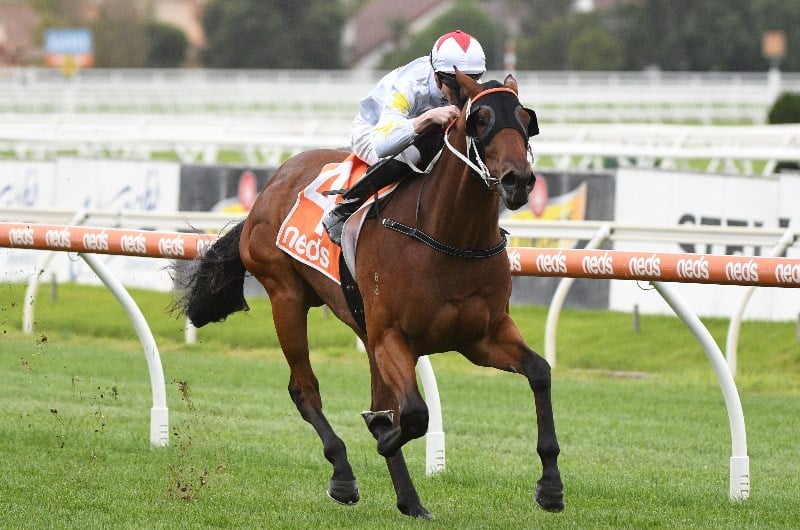 Jye McNeil Extras Markets
