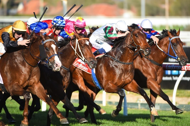 Northam Racing Tips for 27.11.2019