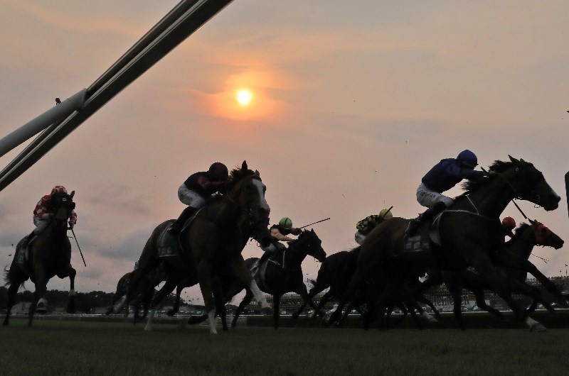 Nowra Racing Tips for 31.12.2019