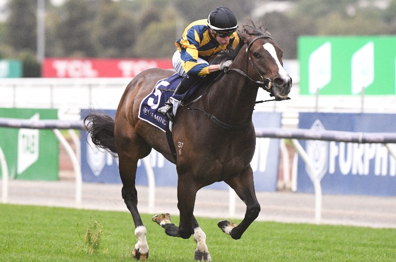 Flemington Betting Tips