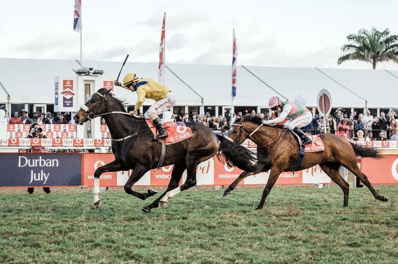 greyville races