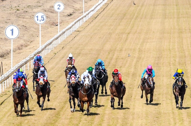 vaal races