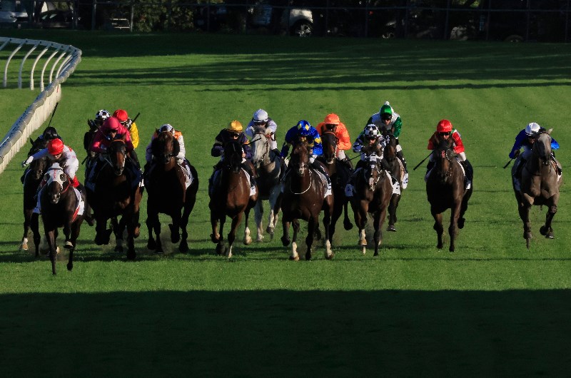 Rosehill Tips for 15.05.2021