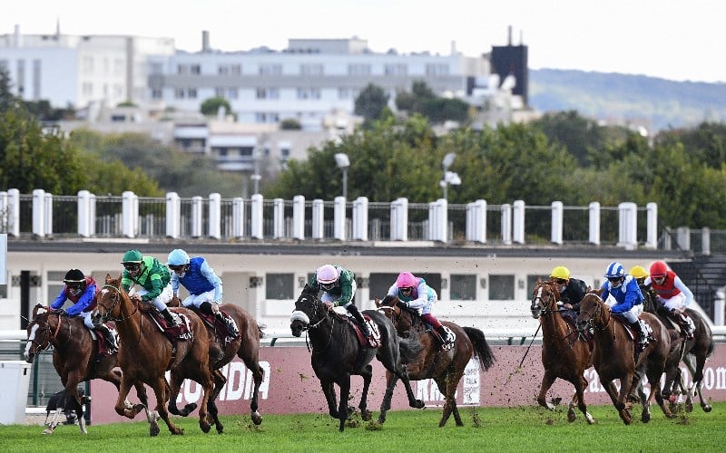 France Horse Racing | French Racing Tips | France Racing News and Tips.