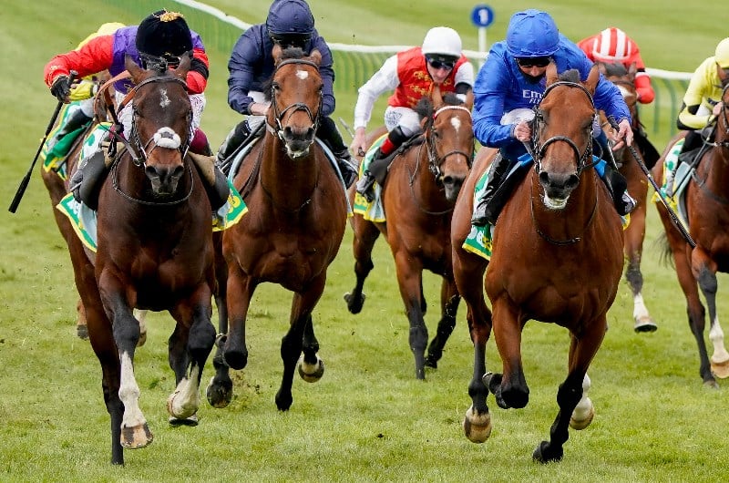 tactical newmarket