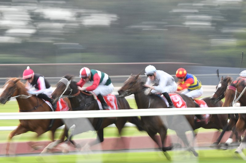 Moe Betting Tips