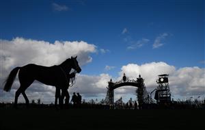 MELBOURNE, AUSTRALIA - MAY 15: Summaroca after winning Race 7, the Royal Ascot Silver Bowl, during Melbourne Racing at Flemington Racecourse on May 15, 2021 in Melbourne, Australia. (Photo by Vince Caligiuri/Getty Images)