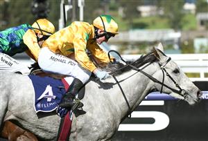 MELBOURNE, AUSTRALIA - MAY 15: Michael Poy riding Cakewalk Baby winning Race 2, the Goodwood Trophy, during Melbourne Racing at Flemington Racecourse on May 15, 2021 in Melbourne, Australia. (Photo by Vince Caligiuri/Getty Images)