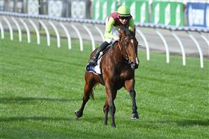 MELBOURNE, AUSTRALIA - MAY 15: Teodore Nugent riding Bons Abroad winning race 5, the Curragh Leilani, during Melbourne Racing at Flemington Racecourse on May 15, 2021 in Melbourne, Australia. (Photo by Vince Caligiuri/Getty Images)