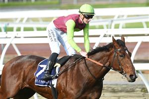 MELBOURNE, AUSTRALIA - MAY 15: Teodore Nugent riding Bons Abroad winning race 5, the Curragh Leilani, during Melbourne Racing at Flemington Racecourse on May 15, 2021 in Melbourne, Australia. (Photo by Vince Caligiuri/Getty Images)