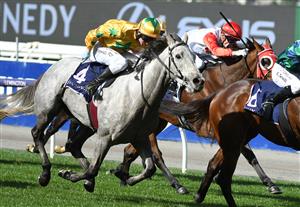 MELBOURNE, AUSTRALIA - MAY 15: Michael Poy riding Cakewalk Baby winning Race 2, the Goodwood Trophy, during Melbourne Racing at Flemington Racecourse on May 15, 2021 in Melbourne, Australia. (Photo by Vince Caligiuri/Getty Images)