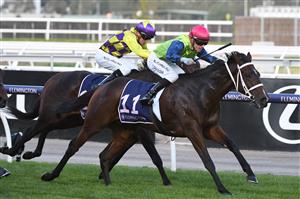 MELBOURNE, AUSTRALIA - MAY 15: Thomas Stockdale riding Summaroca winning Race 7, the Royal Ascot Silver Bowl, during Melbourne Racing at Flemington Racecourse on May 15, 2021 in Melbourne, Australia. (Photo by Vince Caligiuri/Getty Images)