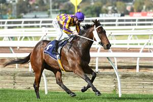 MELBOURNE, AUSTRALIA - MAY 15: Beau Mertens riding Rock Prophet winning Race 3, the Breeders' Handicap during Melbourne Racing at Flemington Racecourse on May 15, 2021 in Melbourne, Australia. (Getty)