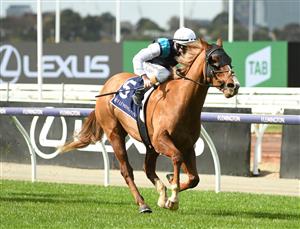 MELBOURNE, AUSTRALIA - MAY 15: Luke Nolen riding Mimosas winning Race 1, the Celebrating 20 Years Of The Arhof, during Melbourne Racing at Flemington Racecourse on May 15, 2021 in Melbourne, Australia. (Photo by Vince Caligiuri/Getty Images)