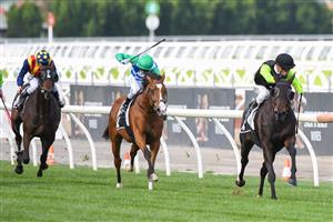MELBOURNE, AUSTRALIA - MAY 15: Mark Zahra riding Realm Of Flowers winning race 6, the The Andrew Ramsden, during Melbourne Racing at Flemington Racecourse on May 15, 2021 in Melbourne, Australia. (Photo by Vince Caligiuri/Getty Images)