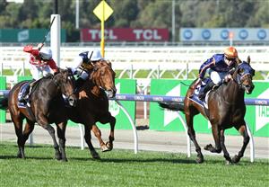 MELBOURNE, AUSTRALIA - MAY 15: Patrick Moloney riding Declares War winning Race 4, the Australian Racing Hall Of Fame Trophy, during Melbourne Racing at Flemington Racecourse on May 15, 2021 in Melbourne, Australia. (Photo by Vince Caligiuri/Getty Images)