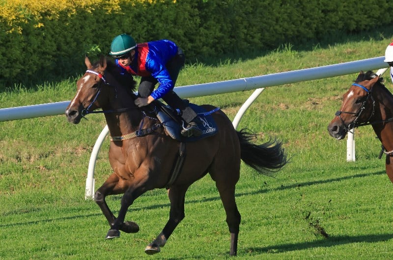 Doomben Cup Tips