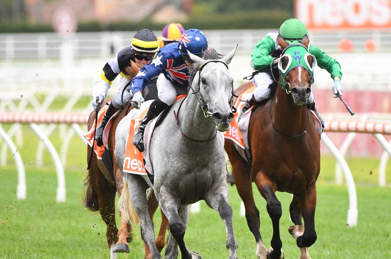 Jye McNeil Extras Markets