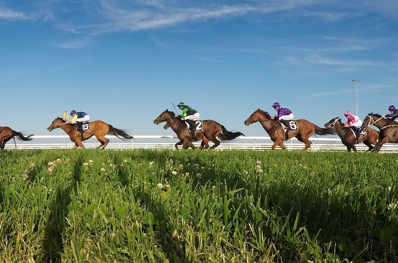 Moree Racing Tips for 01.11.19