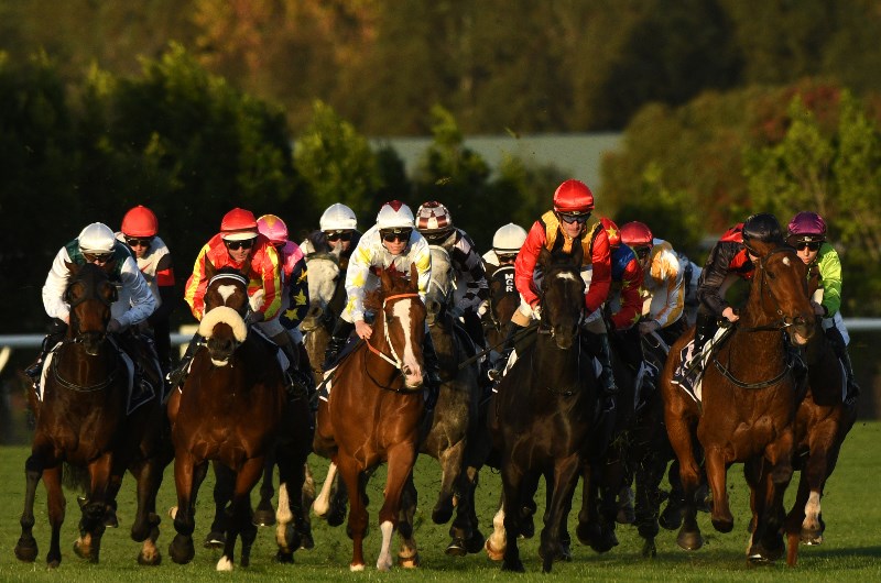 Flemington Betting Tips