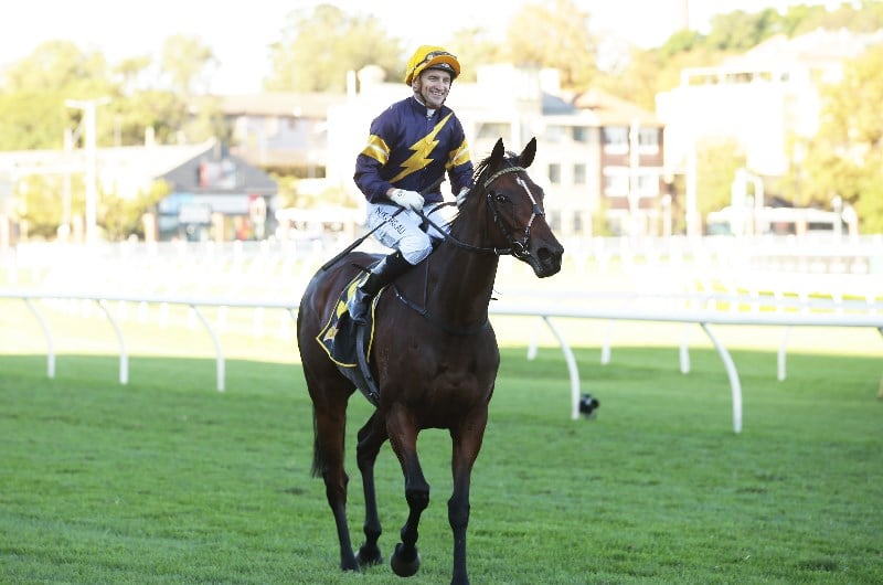 Big Bets for 22.05.2021