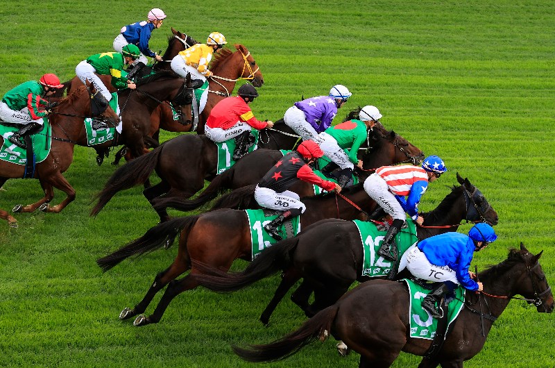 Rosehill Tips for 22.05.2021