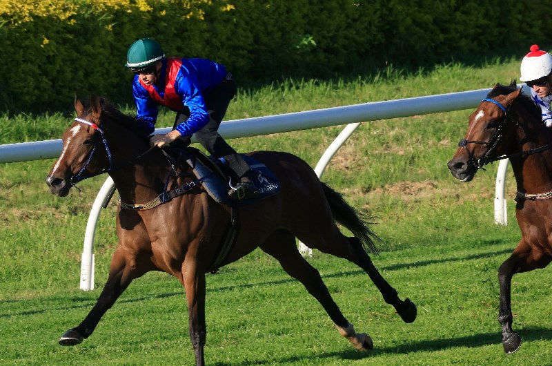 Big Bets Results from 22.05.2021