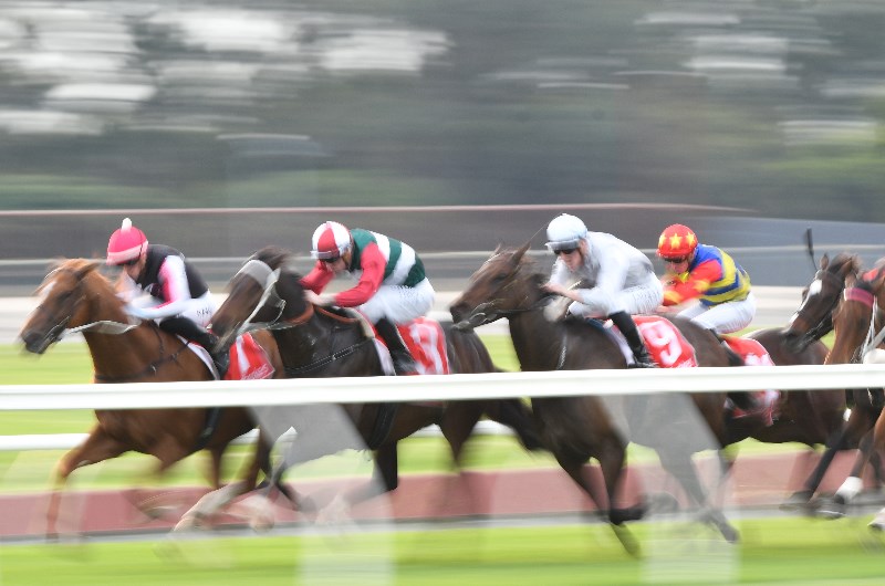 Stawell Betting Tips