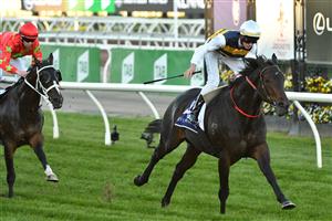 MELBOURNE, AUSTRALIA - MAY 22: Lachlan Neindorf riding Romancer winning Race 8, the Hilton Nicholas Straight Six, during Melbourne Racing at Flemington Racecourse on May 22, 2021 in Melbourne, Australia. (Photo by Vince Caligiuri/Getty Images)