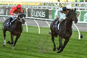 MELBOURNE, AUSTRALIA - MAY 22: Lachlan Neindorf riding Romancer winning Race 8, the Hilton Nicholas Straight Six, during Melbourne Racing at Flemington Racecourse on May 22, 2021 in Melbourne, Australia. (Photo by Vince Caligiuri/Getty Images)