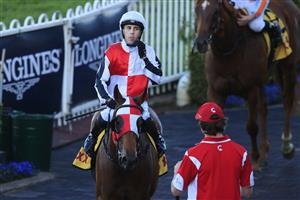 SYDNEY, AUSTRALIA - MAY 22: Brenton Avdulla returns to scale on Kirwan's Lane after winning race 8 the XXXX Handicap during Sydney Racing at Rosehill Gardens on May 22, 2021 in Sydney, Australia. (Photo by Mark Evans/Getty Images)
