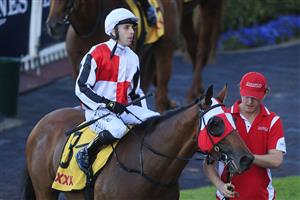 SYDNEY, AUSTRALIA - MAY 22: Brenton Avdulla returns to scale on Kirwan's Lane after winning race 8 the XXXX Handicap during Sydney Racing at Rosehill Gardens on May 22, 2021 in Sydney, Australia. (Photo by Mark Evans/Getty Images)