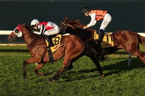 SYDNEY, AUSTRALIA - MAY 22: Brenton Avdulla on Kirwan's Lane winning race 8 the XXXX Handicap during Sydney Racing at Rosehill Gardens on May 22, 2021 in Sydney, Australia. (Photo by Mark Evans/Getty Images)