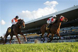 SYDNEY, AUSTRALIA - MAY 22: Brenton Avdulla on Kirwan's Lane winning race 8 the XXXX Handicap during Sydney Racing at Rosehill Gardens on May 22, 2021 in Sydney, Australia. (Photo by Mark Evans/Getty Images)