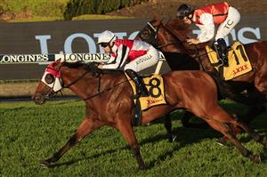SYDNEY, AUSTRALIA - MAY 22: Brenton Avdulla on Kirwan's Lane winning race 8 the XXXX Handicap during Sydney Racing at Rosehill Gardens on May 22, 2021 in Sydney, Australia. (Photo by Mark Evans/Getty Images)