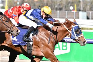 MELBOURNE, AUSTRALIA - MAY 22: Daniel Moor riding Blushing Tycoon winning Race 3, theRacing.com Plate, during Melbourne Racing at Flemington Racecourse on May 22, 2021 in Melbourne, Australia. (Photo by Vince Caligiuri/Getty Images)