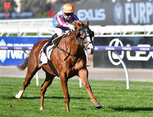 MELBOURNE, AUSTRALIA - MAY 22: Jamie Kah riding Heart Of Puissance winning Race 4, the Pfd Food Services Plate, during Melbourne Racing at Flemington Racecourse on May 22, 2021 in Melbourne, Australia. (Photo by Vince Caligiuri/Getty Images)