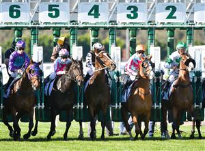 MELBOURNE, AUSTRALIA - MAY 22: Jamie Kah riding Heart Of Puissance (2 R) out of the gates before winning Race 4, the Pfd Food Services Plate, during Melbourne Racing at Flemington Racecourse on May 22, 2021 in Melbourne, Australia. (Photo by Vince Caligiuri/Getty Images)