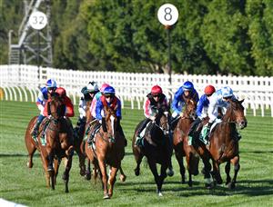 MELBOURNE, AUSTRALIA - MAY 22: Michael Dee riding All Of Brighton ( last far left) before winning race 6, the Ecycle Solutions Trophy, during Melbourne Racing at Flemington Racecourse on May 22, 2021 in Melbourne, Australia. (Photo by Vince Caligiuri/Getty Images)