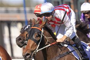 SYDNEY, AUSTRALIA - MAY 22: Tommy Berry on Overmann wins race 2 the Rosehill Bowling club Handicap during Sydney Racing at Rosehill Gardens on May 22, 2021 in Sydney, Australia. (Photo by Mark Evans/Getty Images)