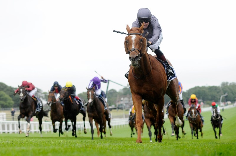 Epsom derby