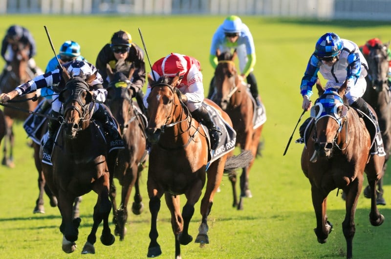 Queensland Derby Final Field