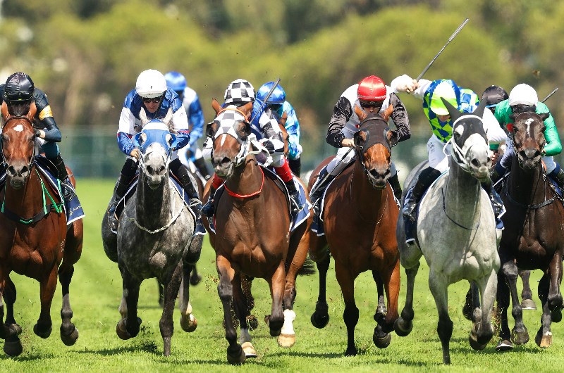 Gosford Tips for 27.05.2021