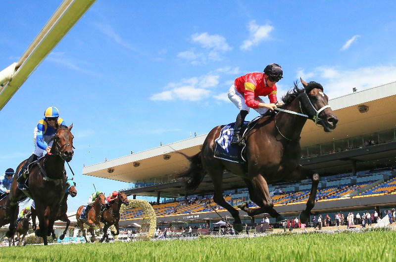 Jye McNeil Extras Markets