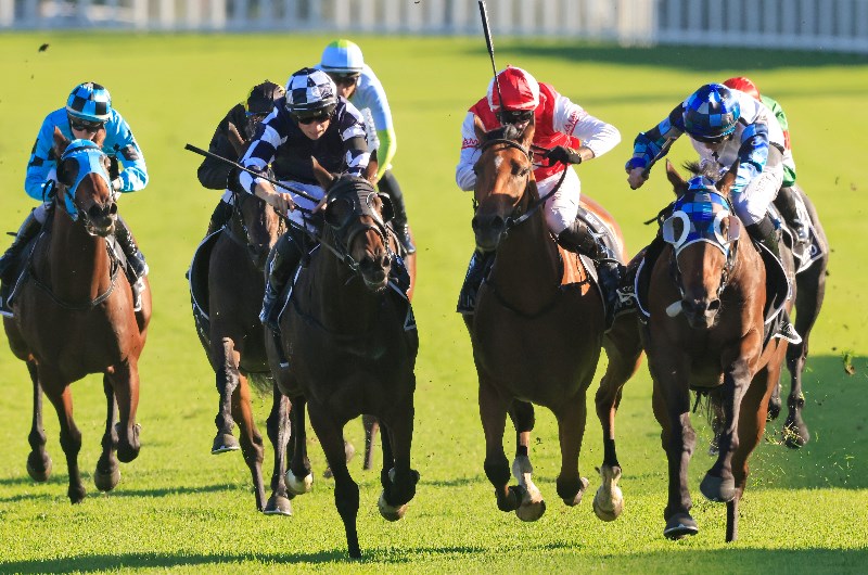 Queensland Derby